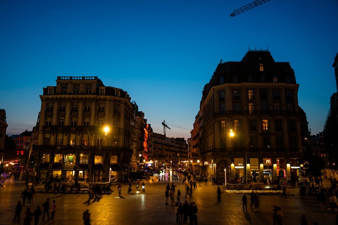 Brussels city skyline at dusk